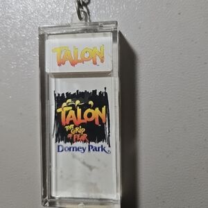 Dorney Park Roller Coaster Keychain Moving Panels